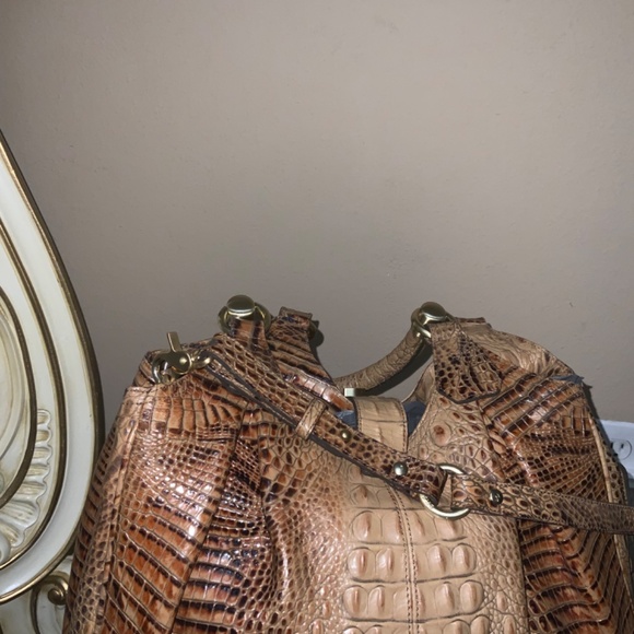 Brahmin - Picture 2 of 9